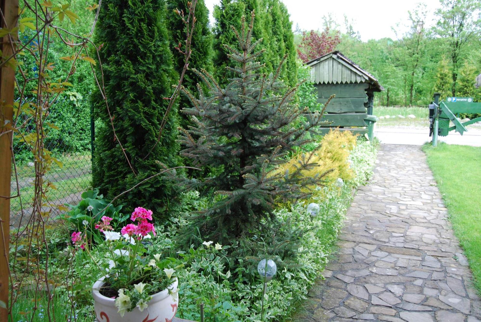 Willa Pod Banderą Zakopane Exterior foto