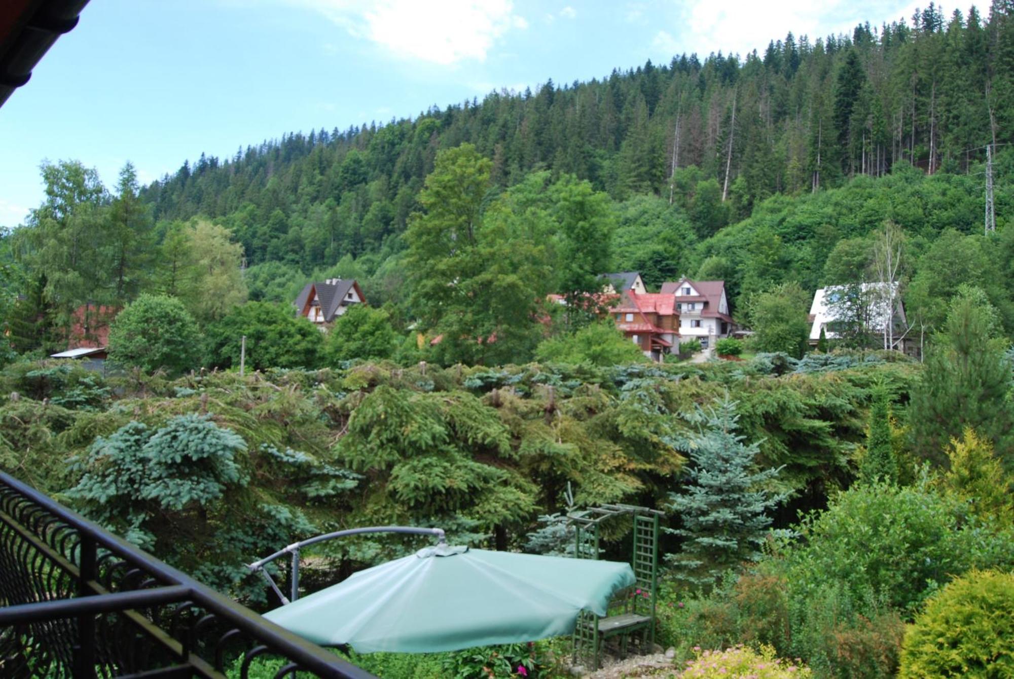 Willa Pod Banderą Zakopane Exterior foto