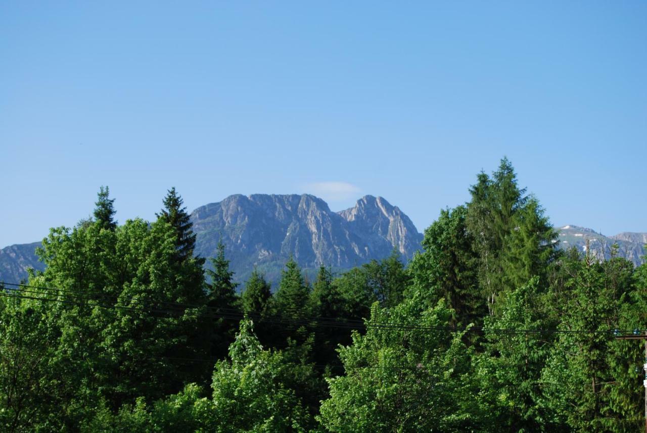 Willa Pod Banderą Zakopane Exterior foto